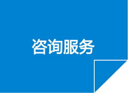 信息化咨询服务